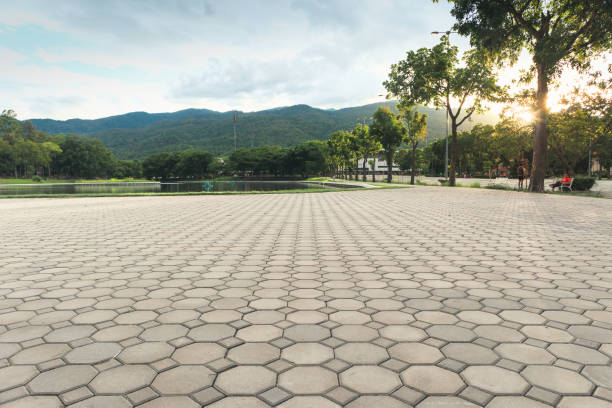 Best Residential Paver Driveway  in Danvers, IL