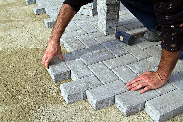 Best Professional Driveway Pavers  in Danvers, IL